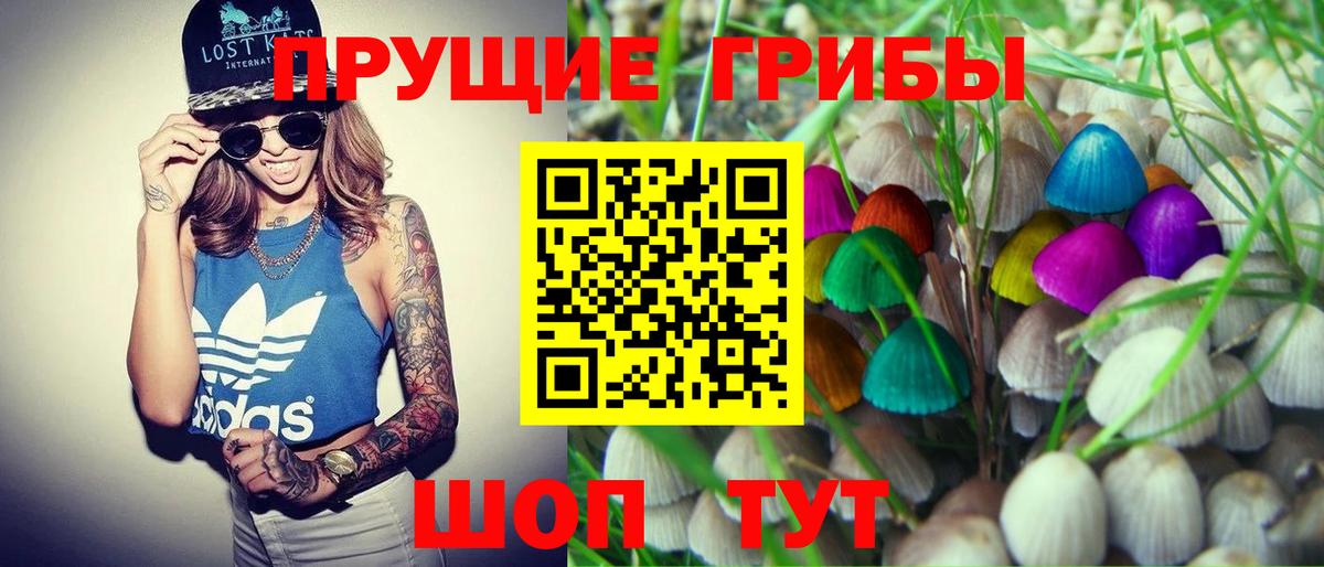 Псилоцибиновые грибы GOLDEN TEACHER  Вход с VPN  Галлюциногенные грибы GOLDEN TEACHER  Губкинский 
