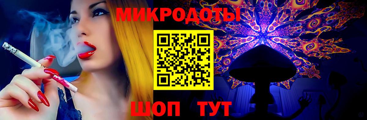Галлюциногенные грибы Psilocybe Губкинский